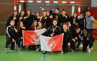 section handball vendée